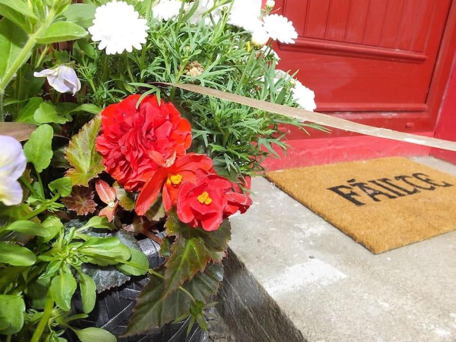 The Cosy Farm Cottage, Donegal Inver Eksteriør bilde